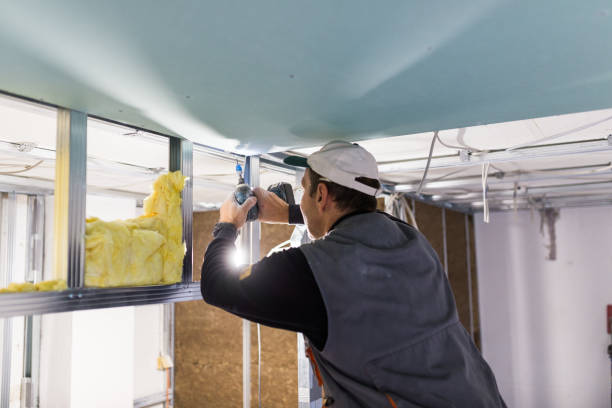 Best Insulation Removal  in Madison, NC